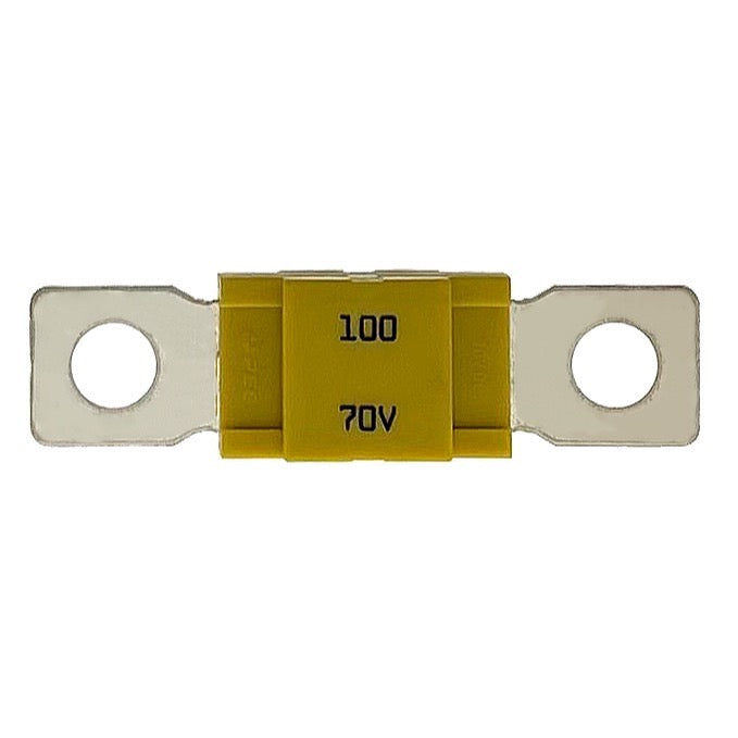 AMG&reg; Fuse - 100 Amp - AMG® Fuse - 100 Amp