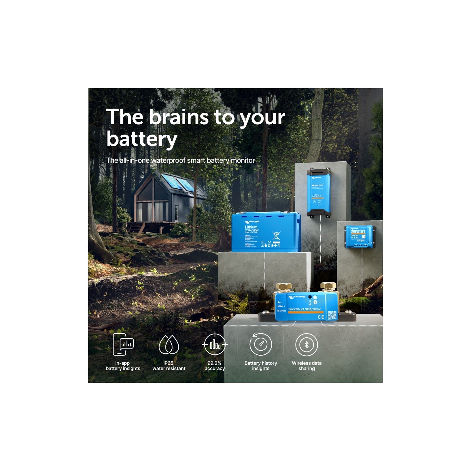 Smartshunt 500A IP65 - Victron Energy