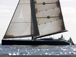 JP54 Ourson Rapide