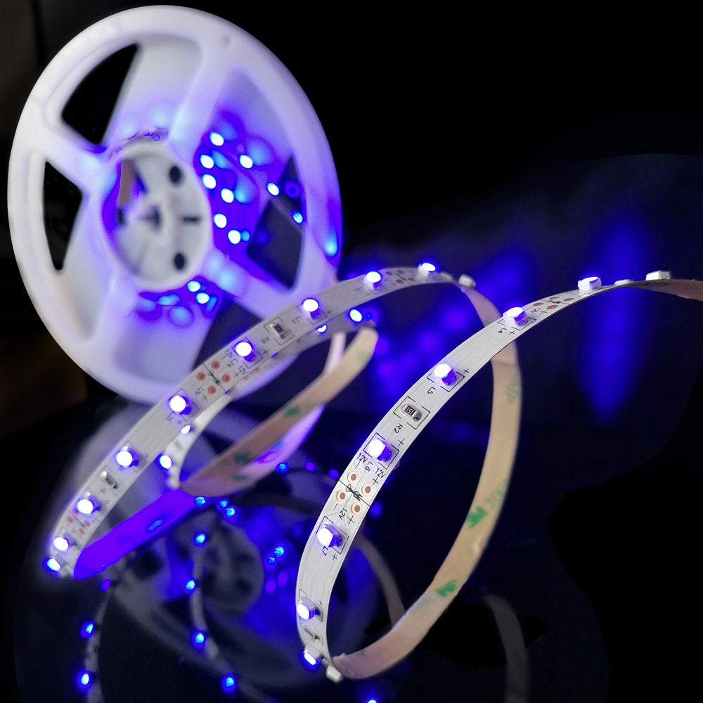 Ruban LED adhésif MANTAGUA bleu 24VDC, 5m, 8mm de large, 60 leds/m, 75lm/m. Pour intérieur.