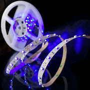 Ruban LED adhésif MANTAGUA bleu 24VDC, 5m, 8mm de large, 60 leds/m, 75lm/m. Pour intérieur.